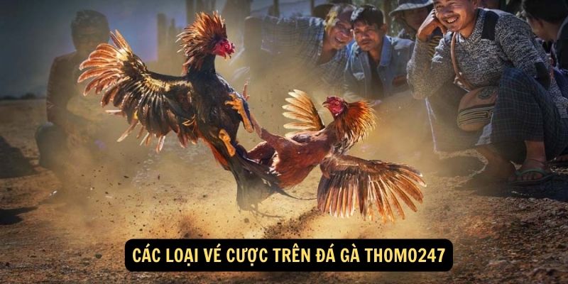 Các loại vé cược trên đá gà thomo247