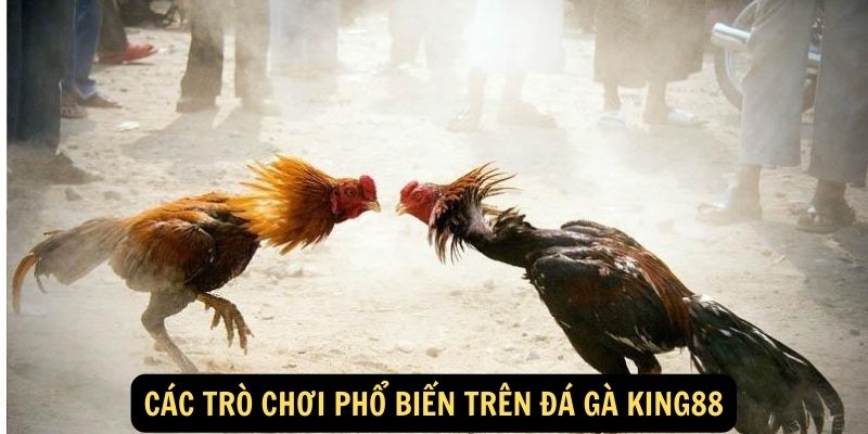 Các trò chơi phổ biến trên Đá gà King88