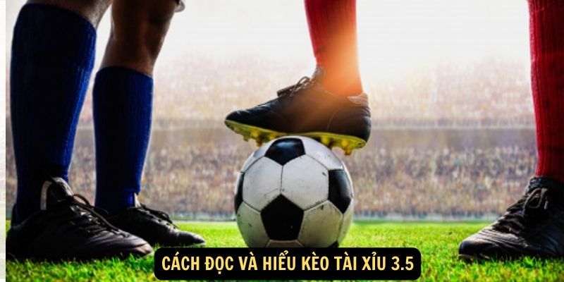 Cách đọc và hiểu kèo tài xỉu 3.5