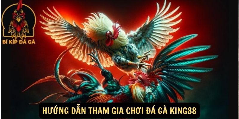 Hướng dẫn tham gia chơi Đá gà King88