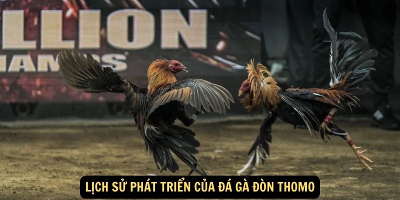 Lich su phat trien cua da ga don Thomo