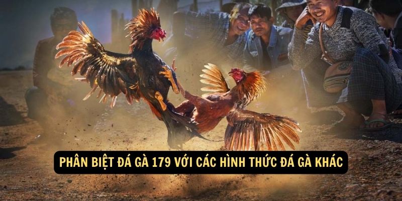 Phân biệt đá gà 179 với các hình thức đá gà khác