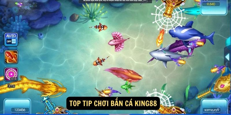 Top tip chơi Bắn cá King88